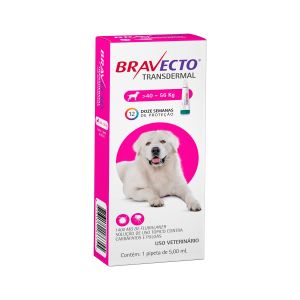 Antipulgas e Carrapatos Bravecto Transdermal para Cães 40 a 56kg